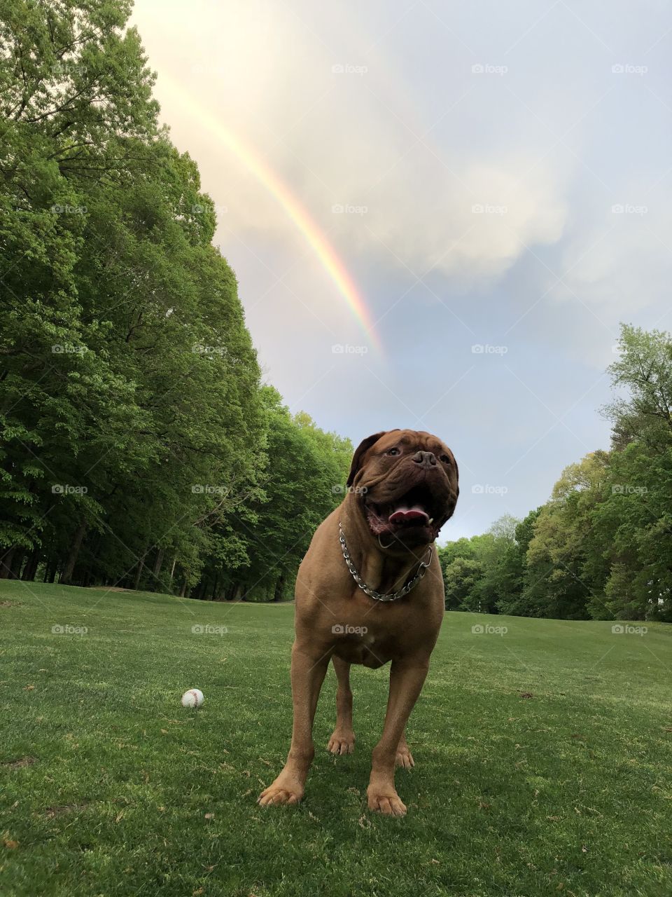 At the end of the rainbow 