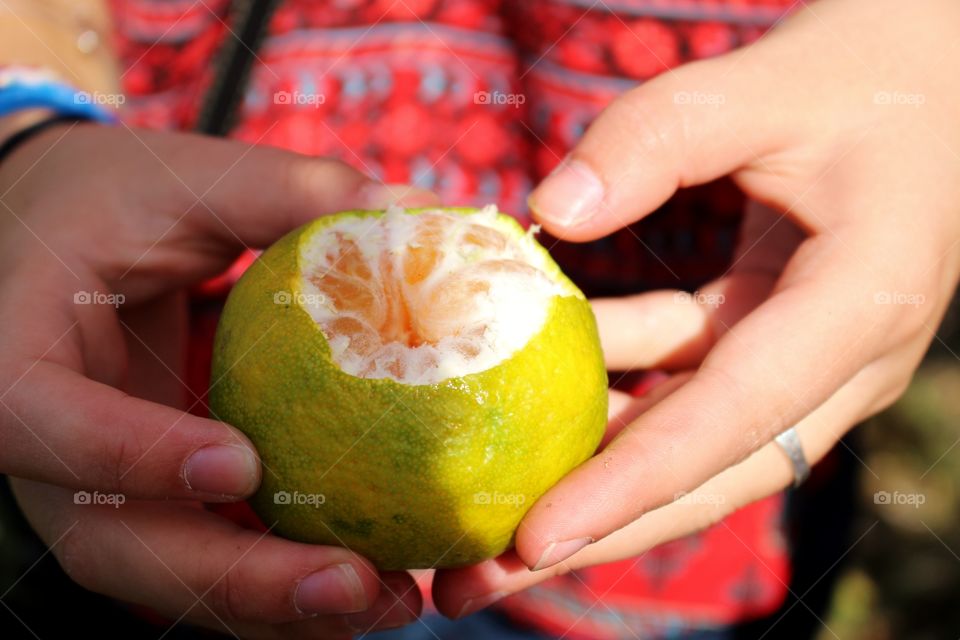 Person peeling orange fruit