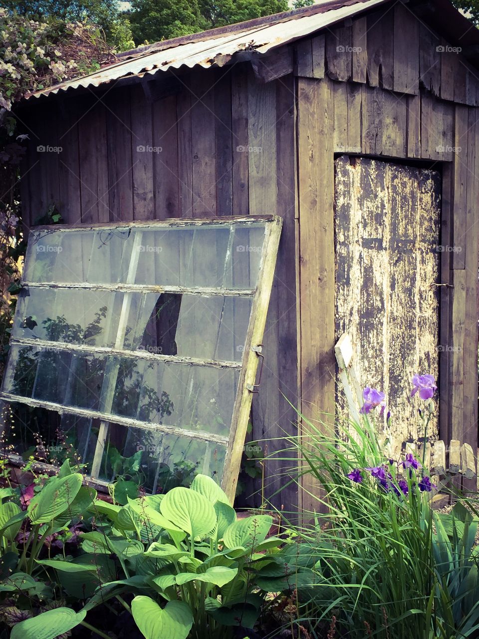 Old window. Garden in vintage style