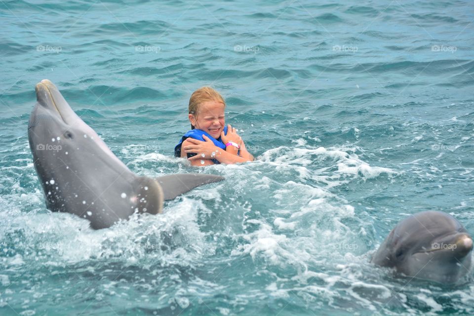 Swimming with dolphins