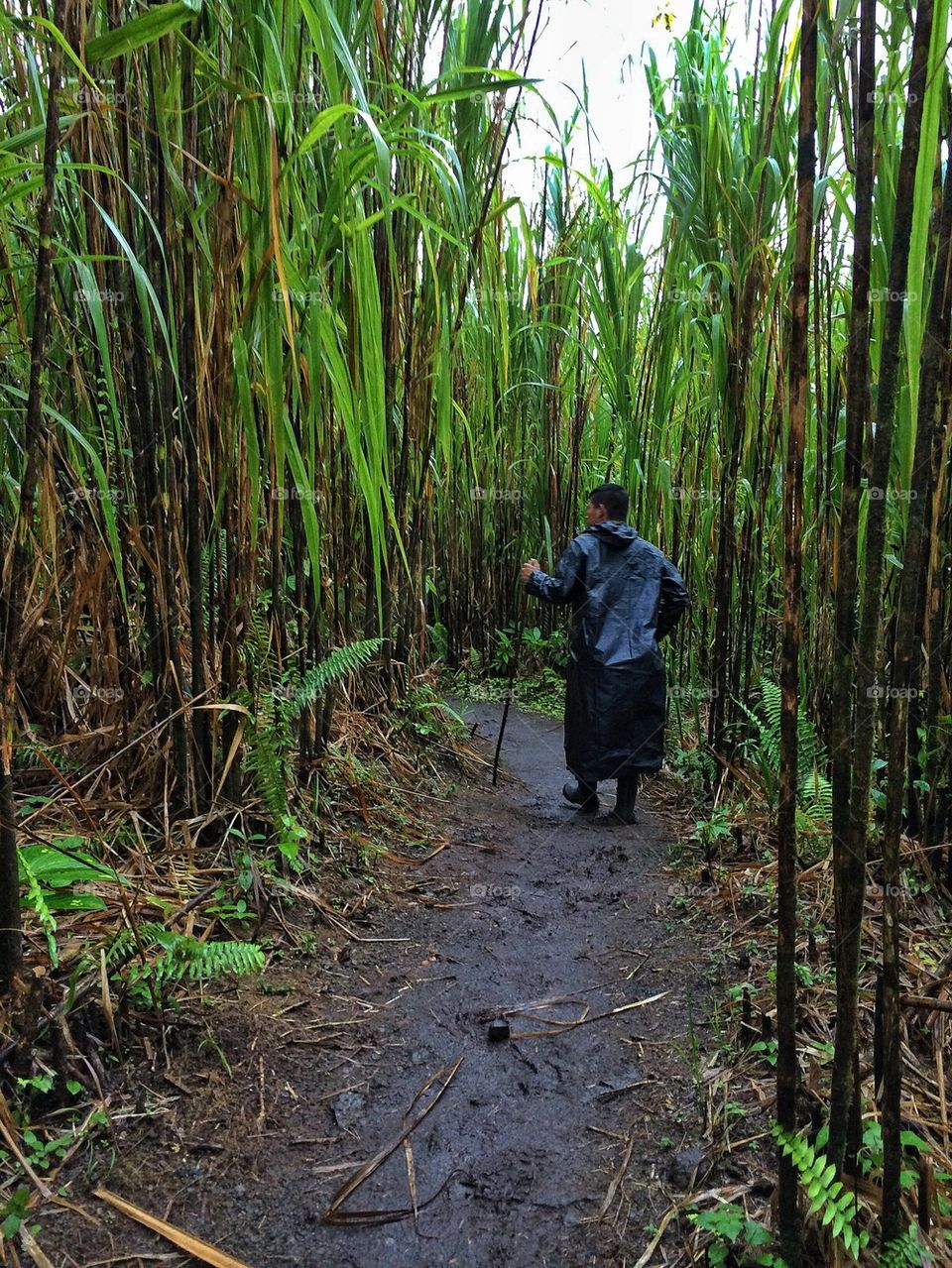 Hiking the Volcano in Arenal