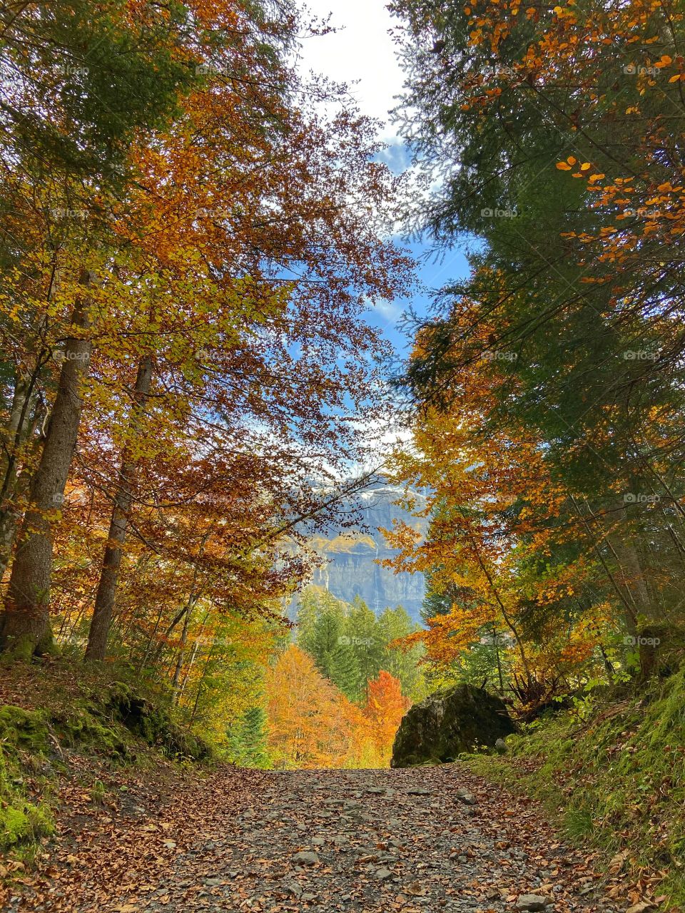 Sixt fer à cheval autumn scenery