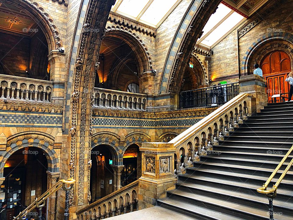 Architecture at the London Natural History Museum!