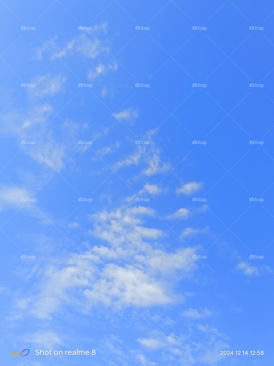 Upload the photo of the month December