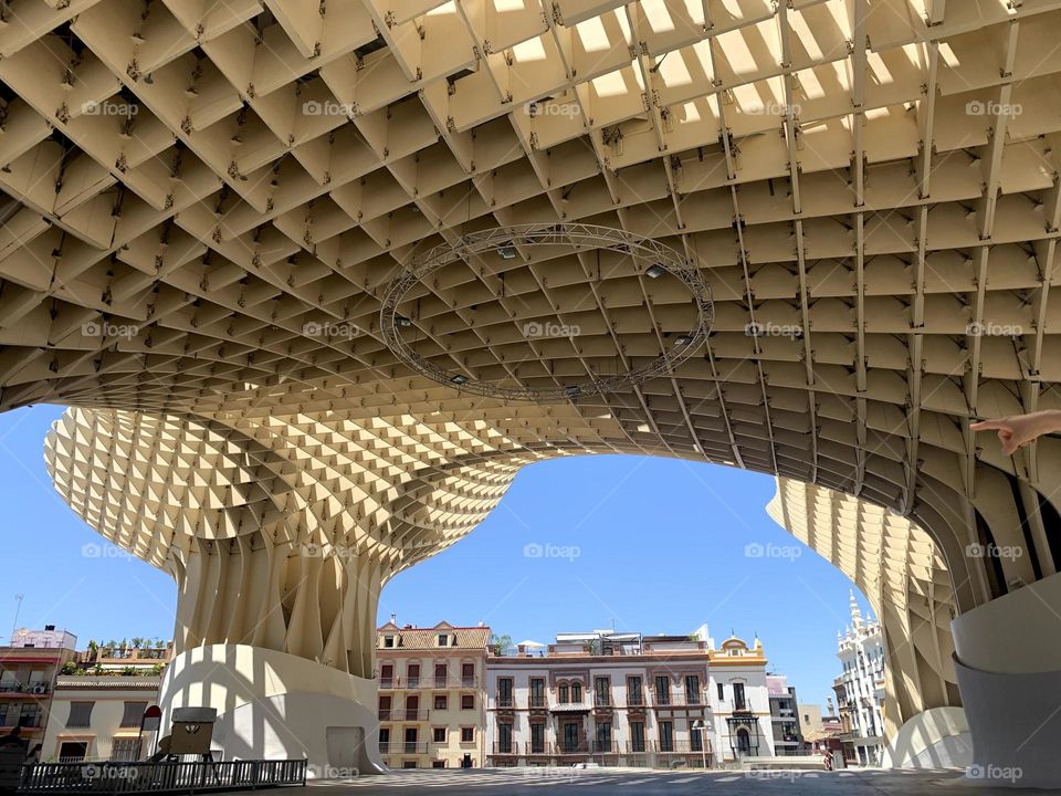 Setas de Sevilla, España