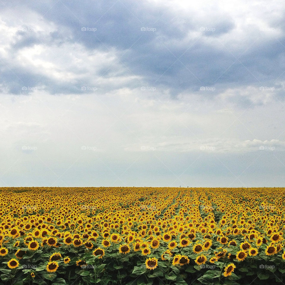 sky yellow blue clouds by bogmol