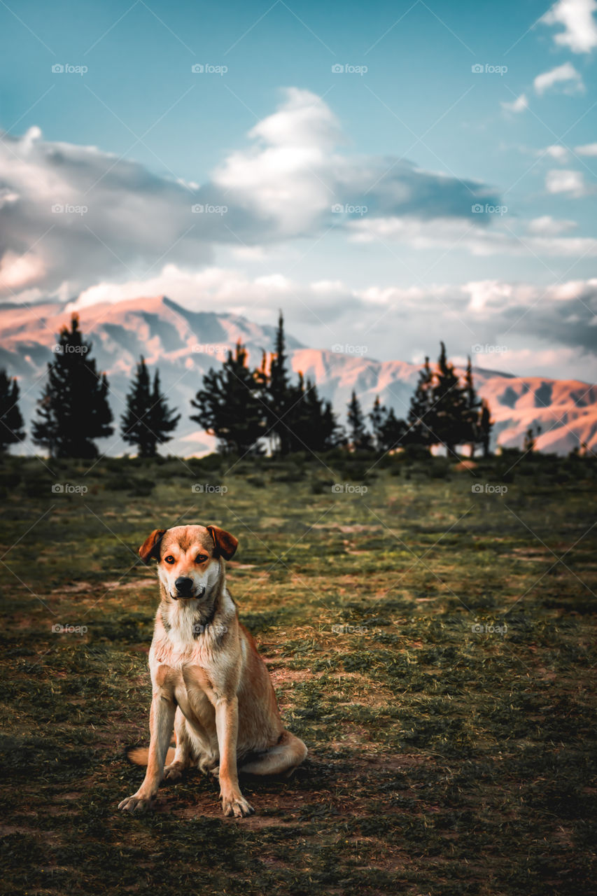 Un momento de paz 

IG @pamroblesspace