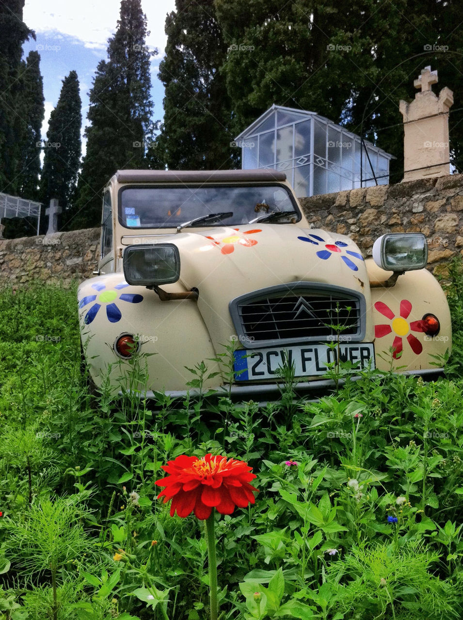 green garden car flower by curly_phil