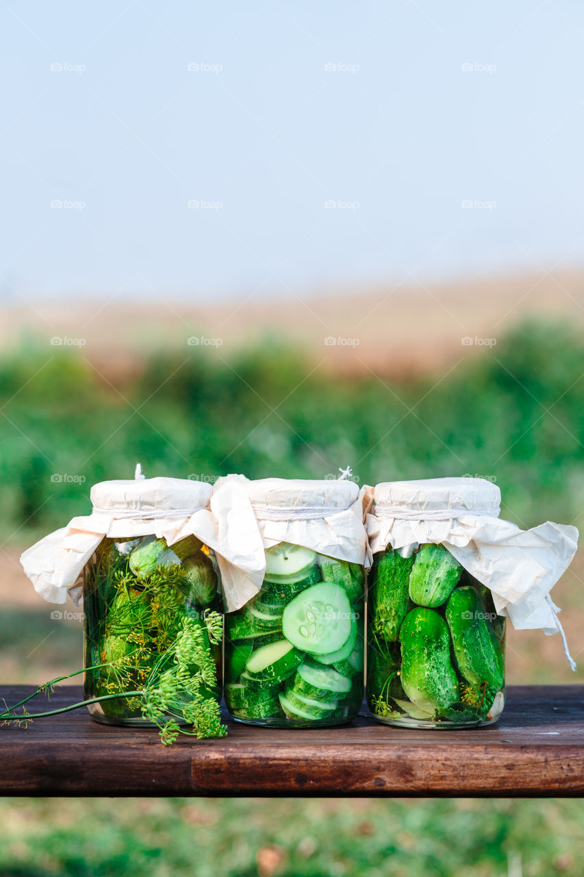 Pickled cucumbers. Pickled cucumbers made with home garden vegetables and herbs