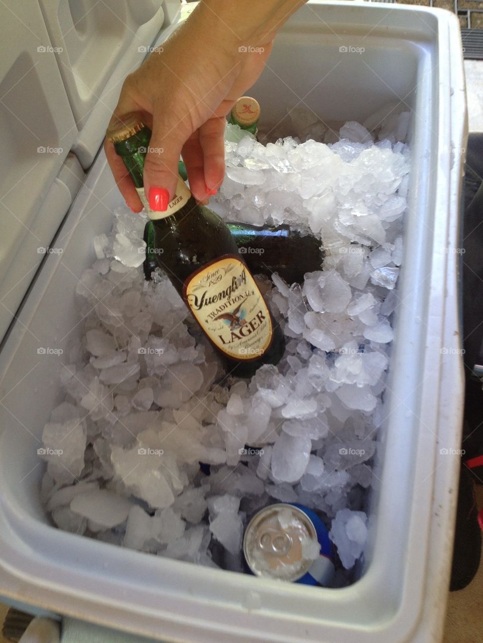 Beer cooler 