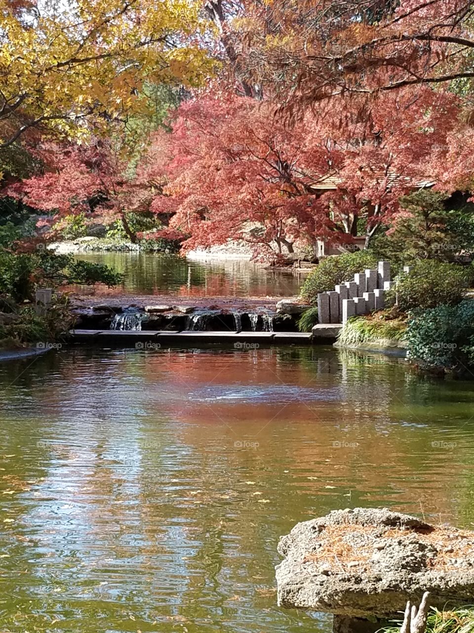 Japanese Gardens at Fort Worth botanical