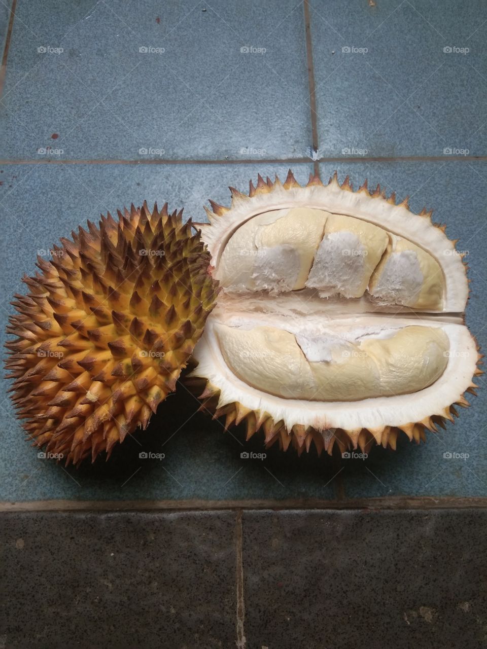 mature durian fruit is split to eat
