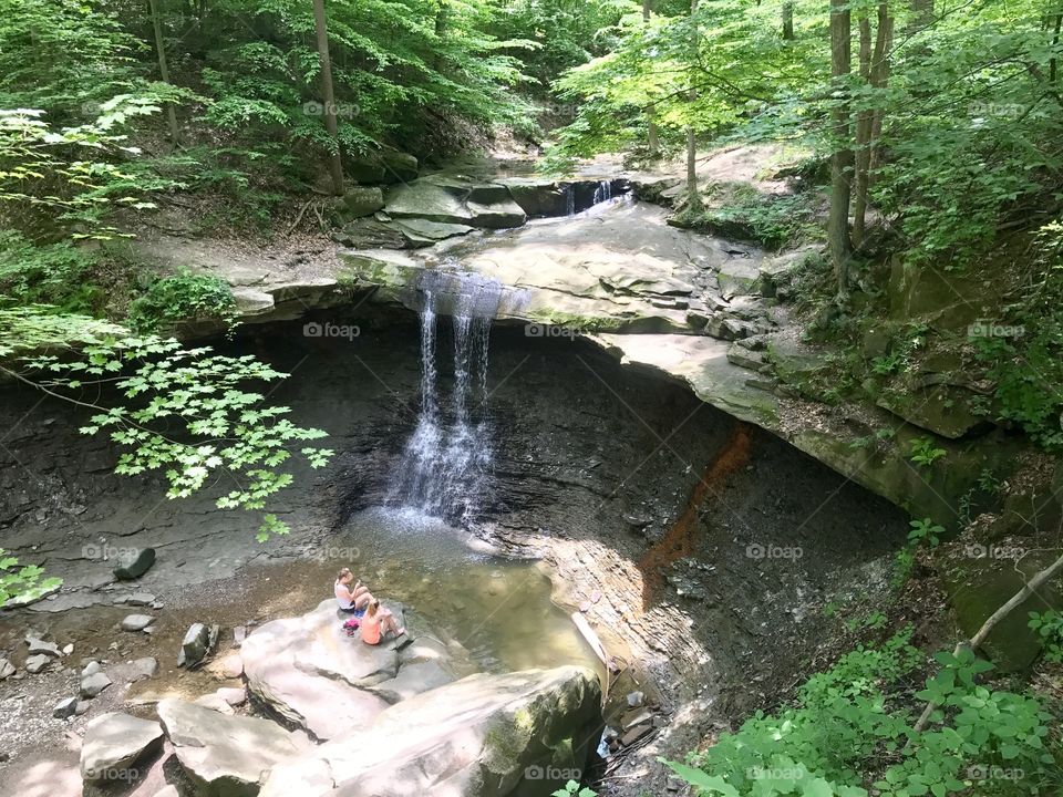 Blue hen falls