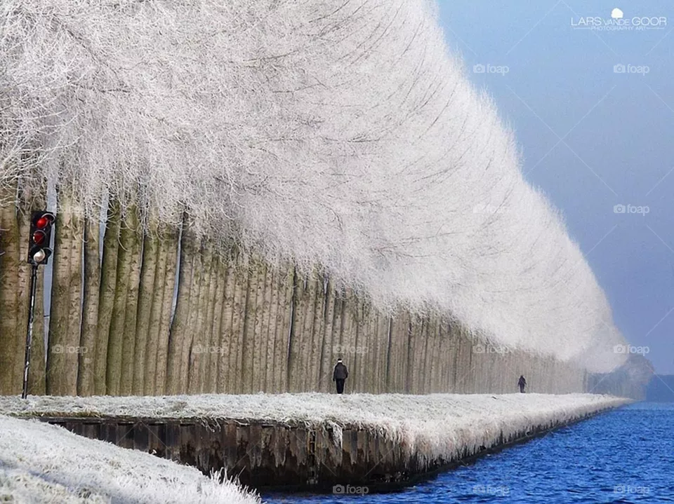 Cold winter 
