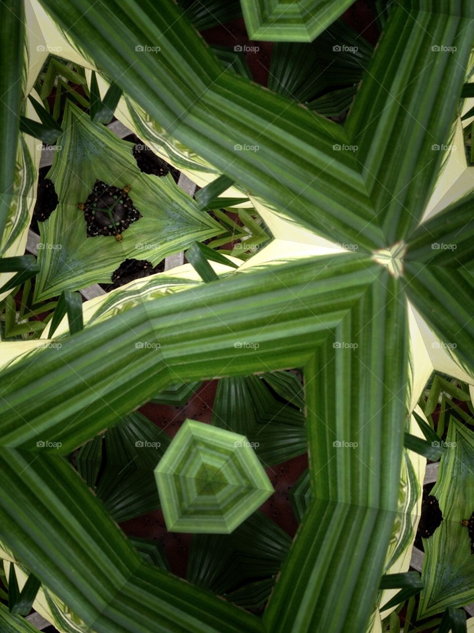 Kaleidoscope 15. My garden 