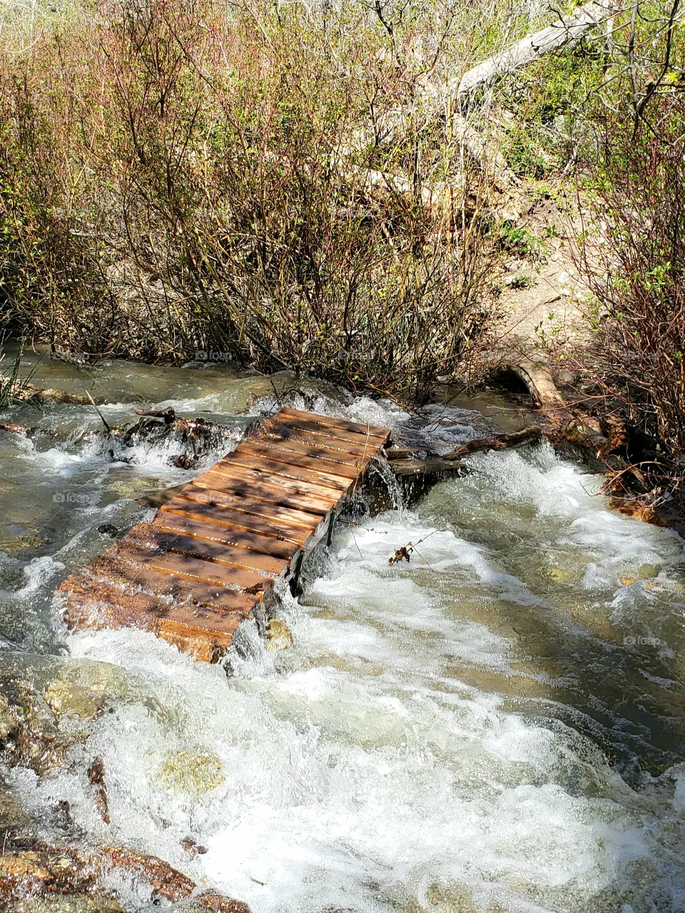 bridge