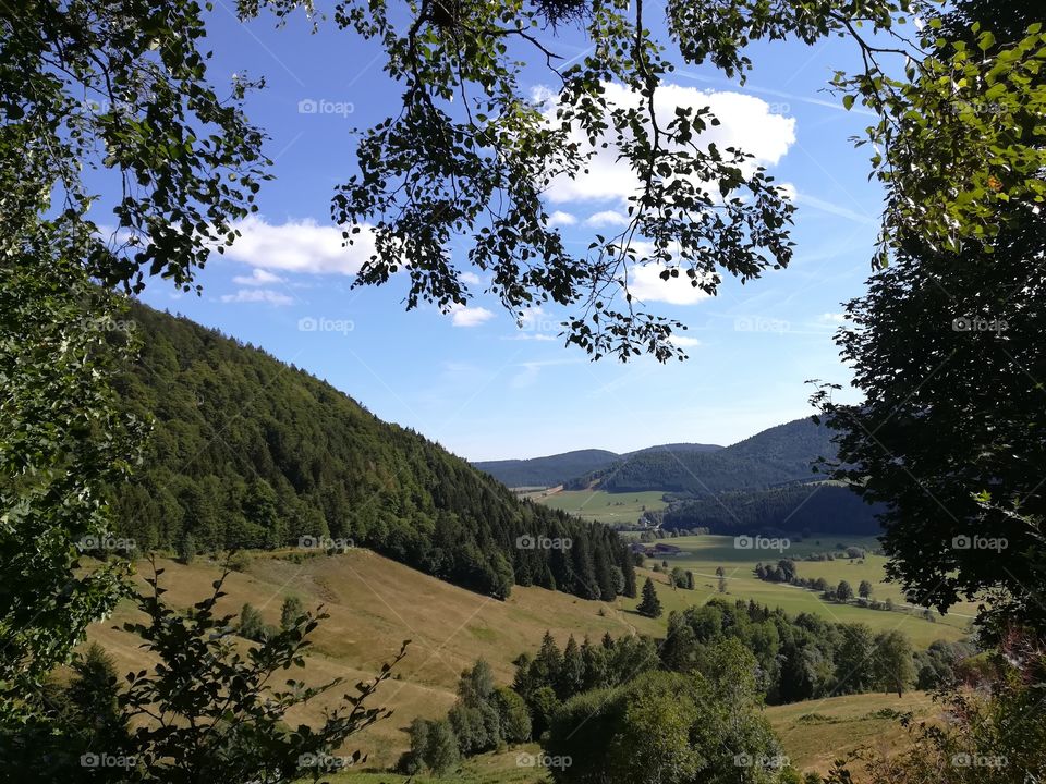 Schwarzwald