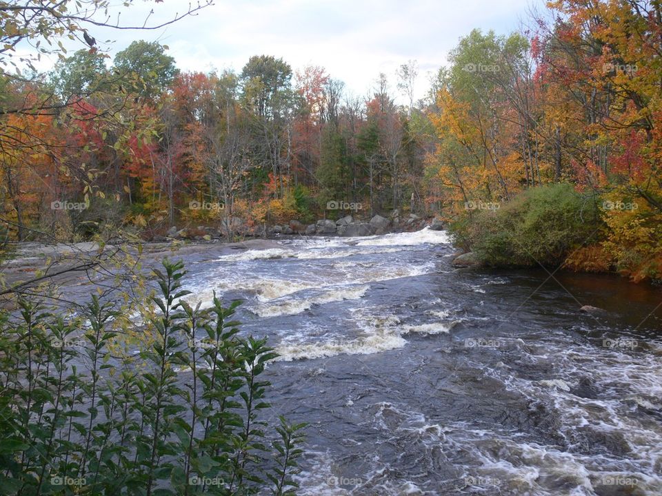 Fall stream