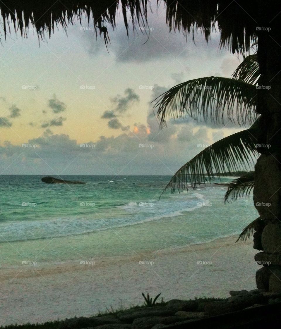 Palm beach