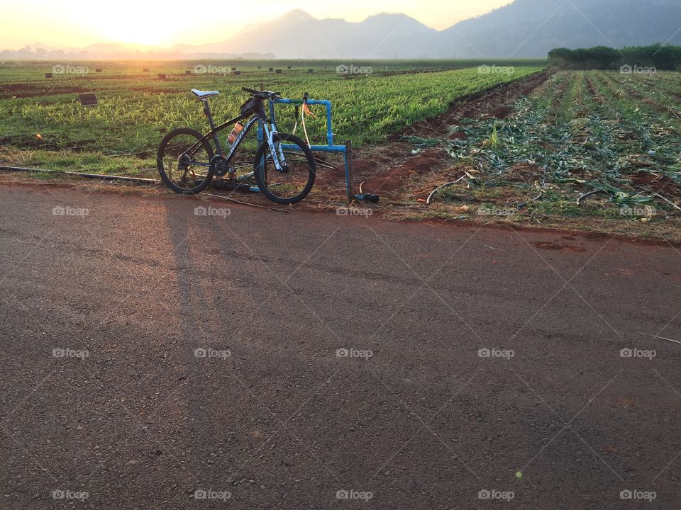 Morning and bike