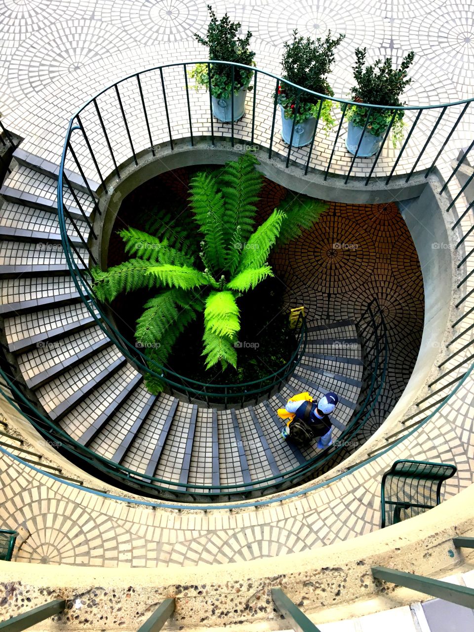 High angle view of stair case