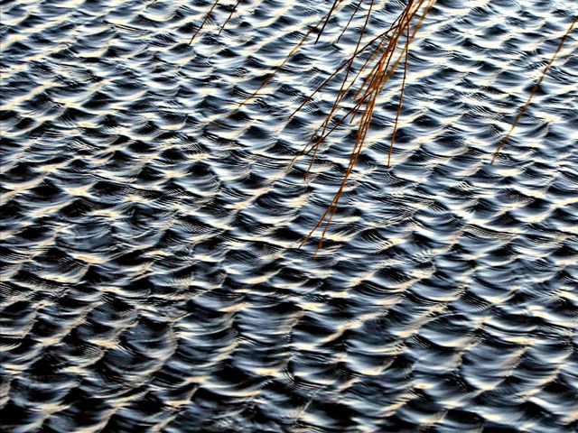 Water ripples