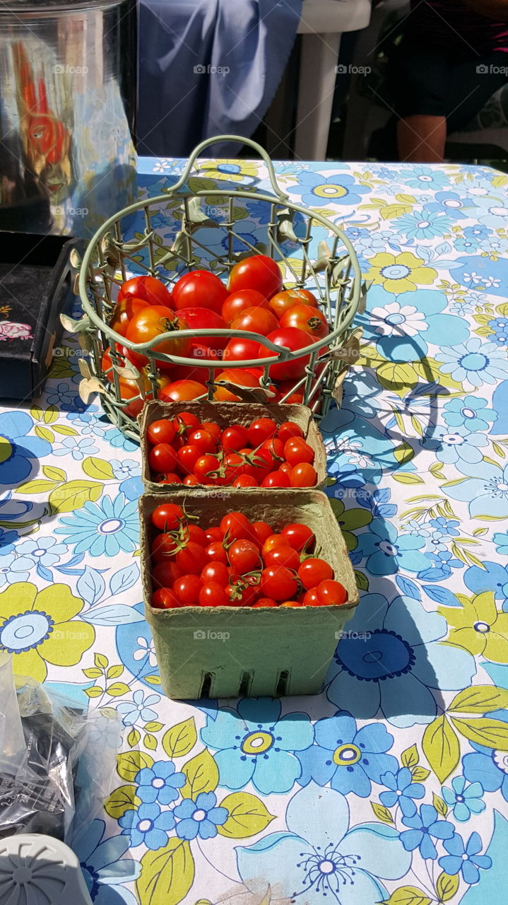 Fresh Picked Tomatoes. plumb ruby red cherry tomatoes, fresh from the garden!