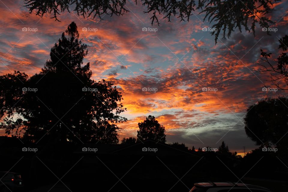 Gorgeous sunset view with colorful clouds and silhouettes of trees