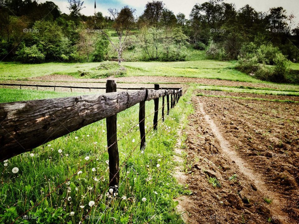 fence