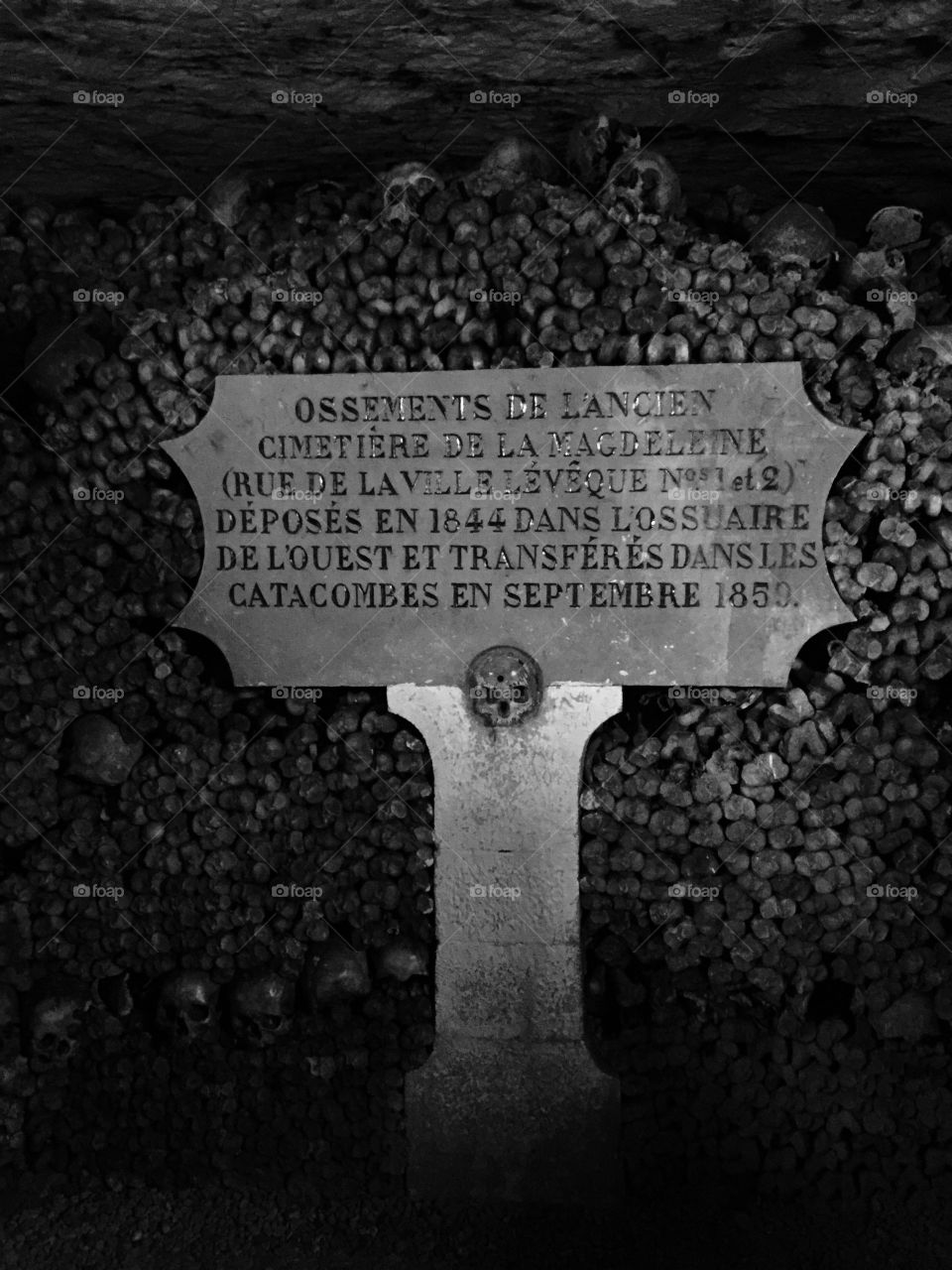 Paris catacombs 