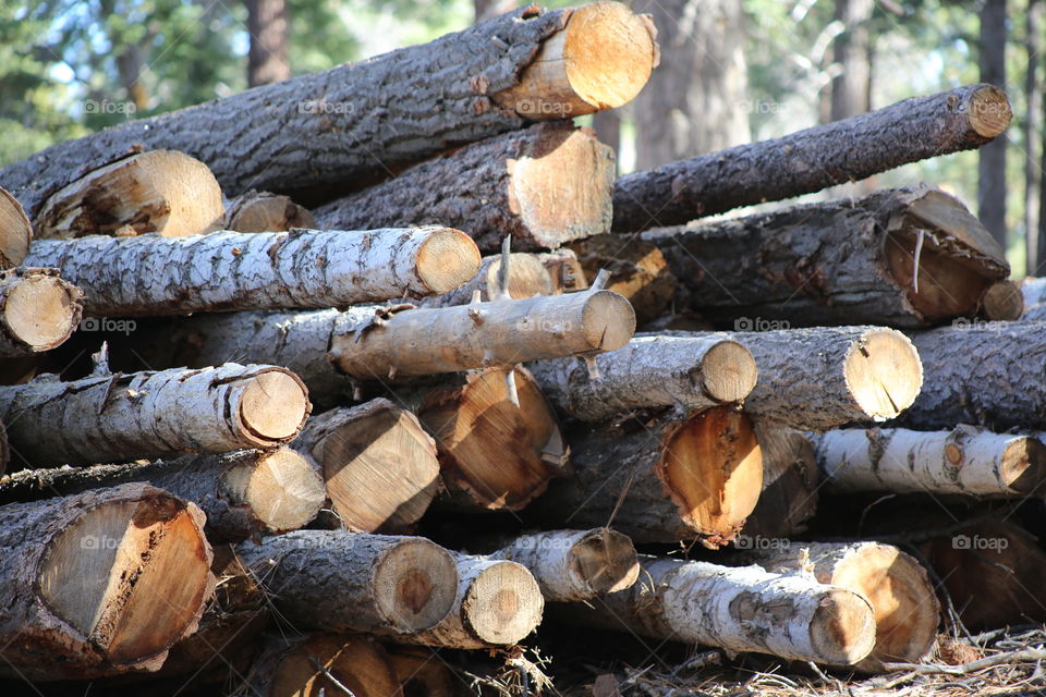 A pile of lumber in Big Bear, California.