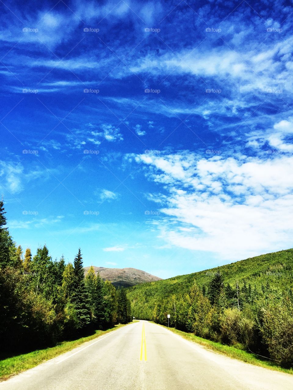 Chena hot springs road, near Fairbanks Alaska 