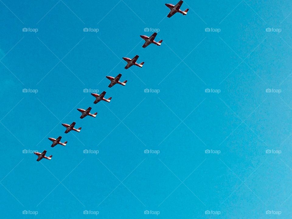 The Snowbirds