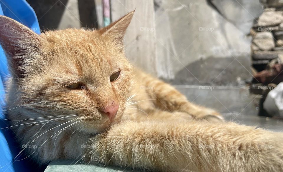 Seeking reliable support 