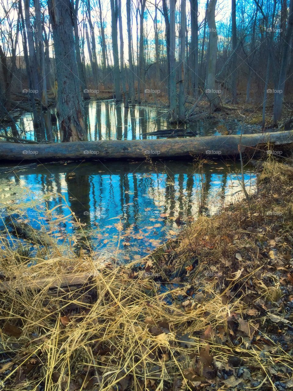 Spring time in Michigan!