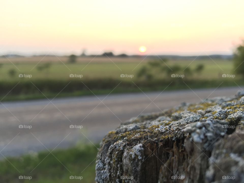 Picture was taken on my farm as the sun was setting, hence the beautiful colours in the background. In the foreground is a rotting fence post that has been taken over by moss and decay.