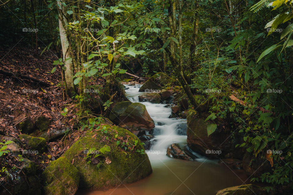 Long exposure of the water of a river in the middle of the forest. Beautiful landscape of Mother Nature