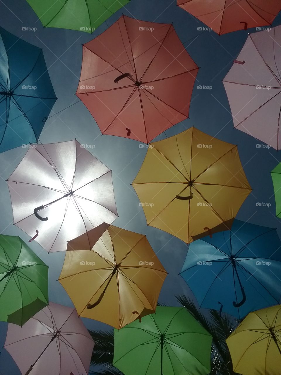 Umbrella Sky