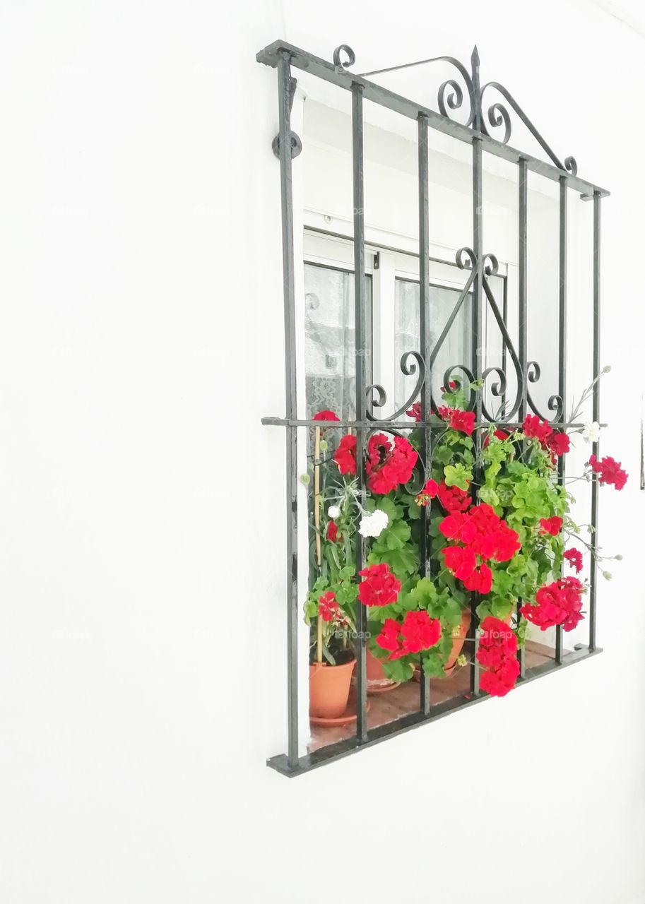 Window in Spain with beautiful red flowers