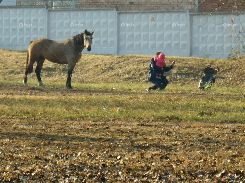 horse and peoples