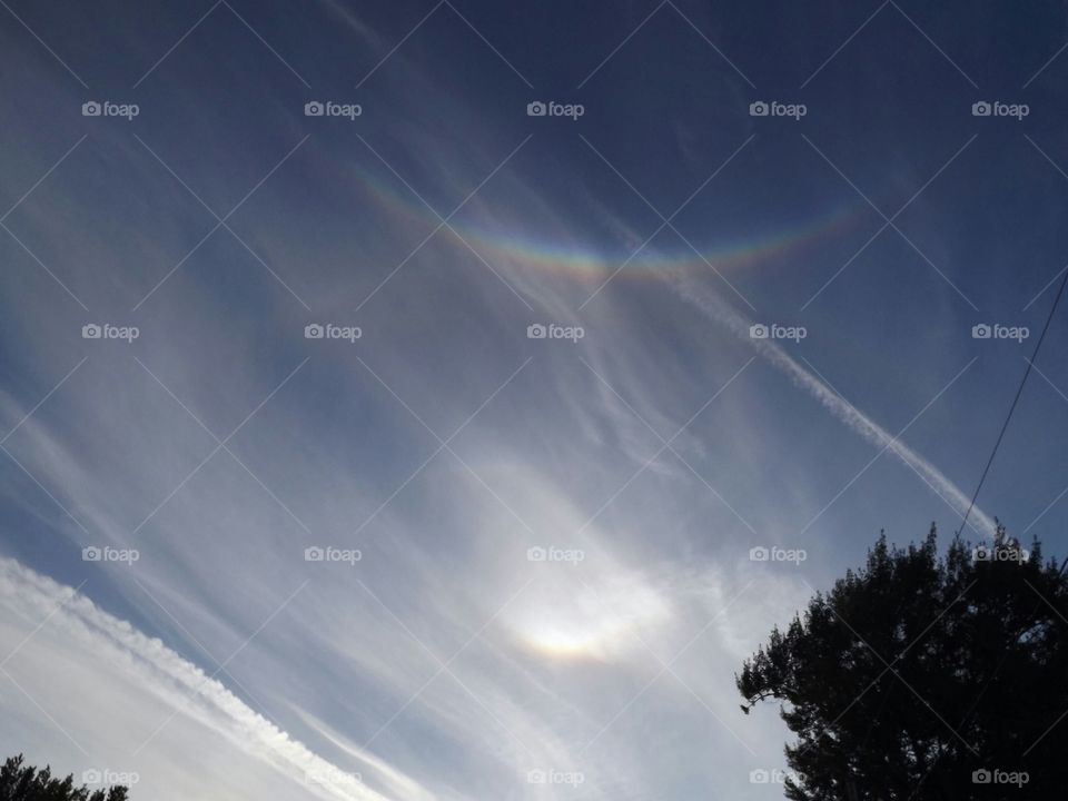 Looks like Praying Hands,  coming through the rainbow of light