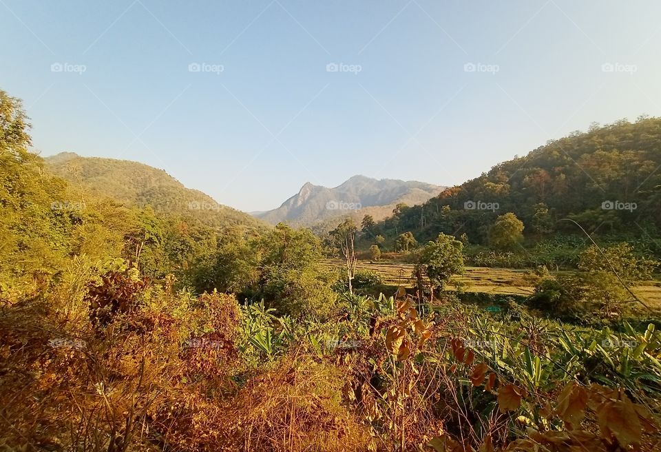 Dream without boundaries