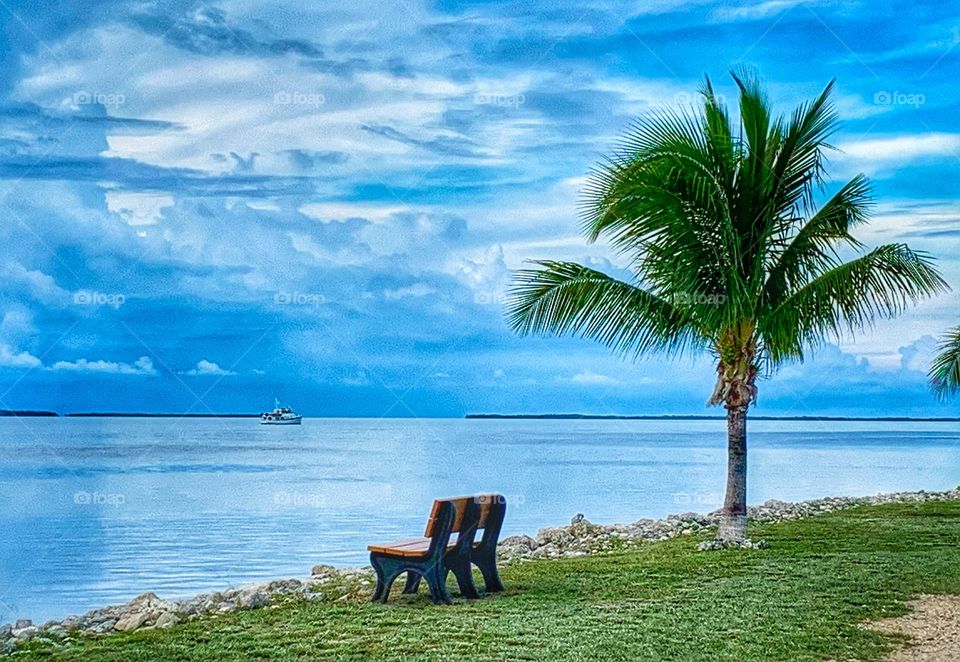 “BY THE GULF” shot with iPhoneXR, edited with Snapseed & LR. #tropics, #keywestfl #gulfofmexico, #ocean #snapseed, #lightroom, #palmtrees, #sky, #grass, #boat #blue, #green, #peaceful, #relaxation, #bench, #brown, #iphonephotography, #suemswank