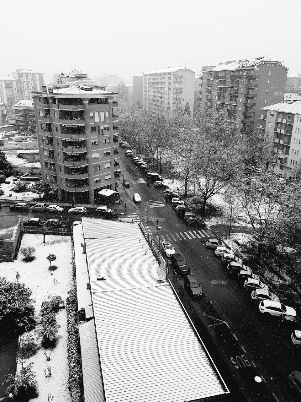 snow in the city. weather