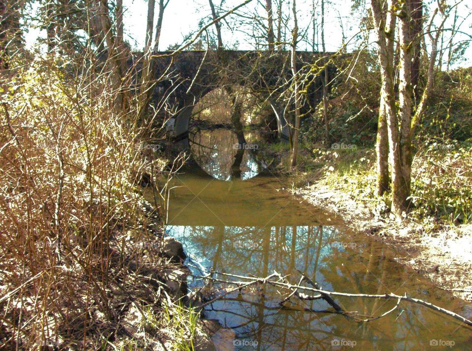 foot bridge over the creek