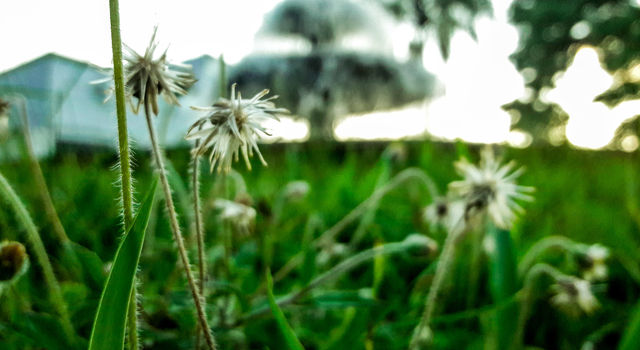 Natureza e bela