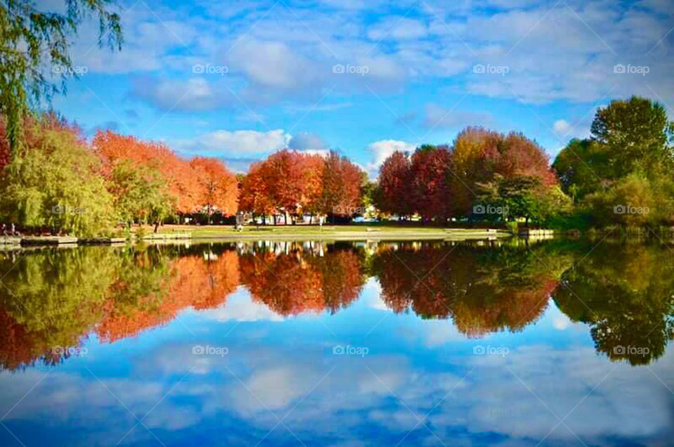 Autumn colors reflected over Trout Lake