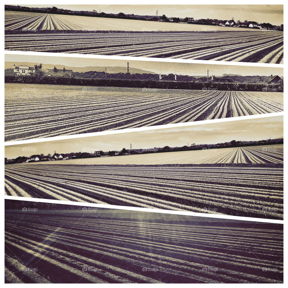 A ploughed field photo collage . A ploughed field photo collage 