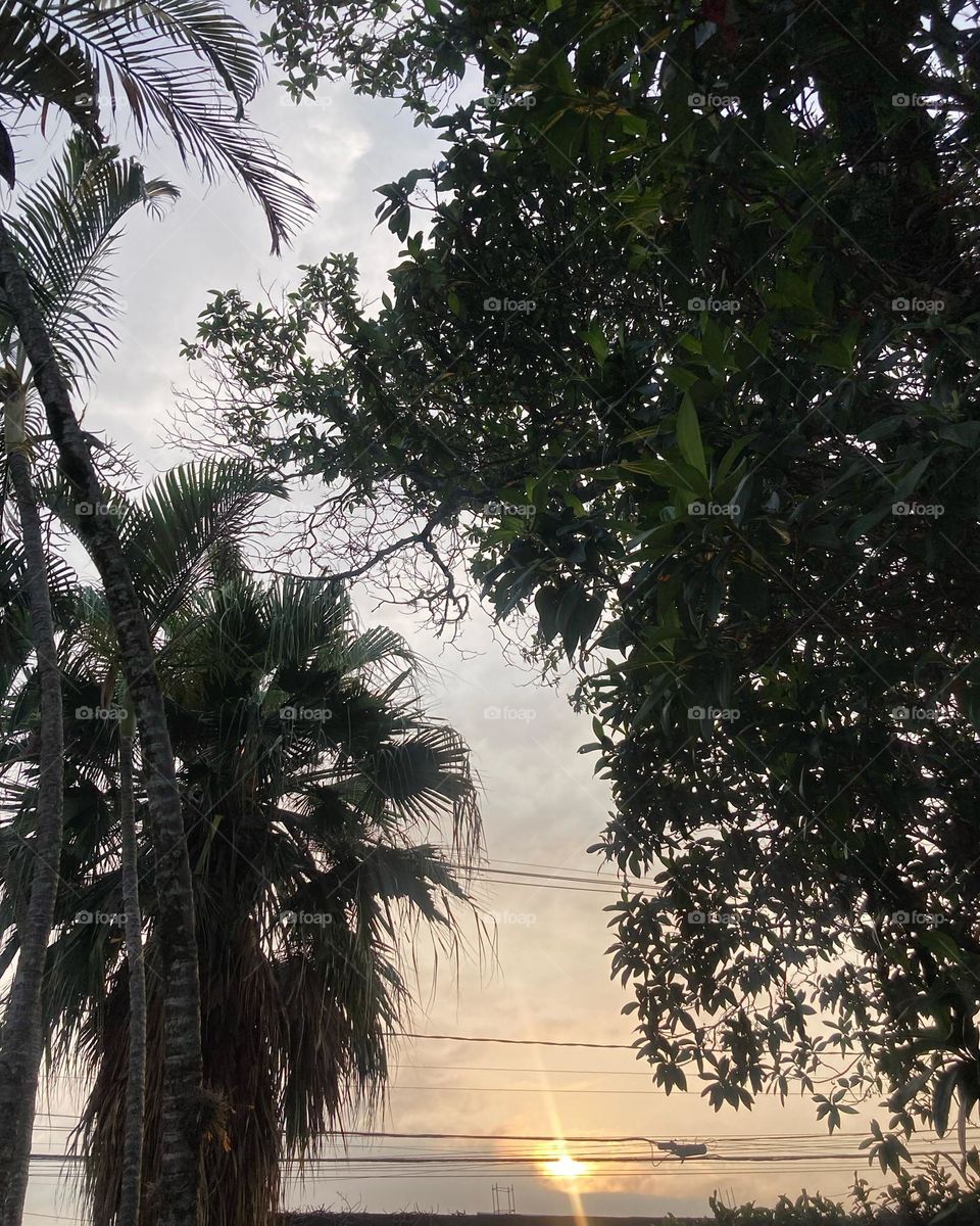 🌄🇺🇸 An extremely beautiful dawn in Jundiaí, interior of Brazil. Cheer the nature! / 🇧🇷 Um amanhecer extremamente bonito em Jundiaí, interior do Brasil. Viva a natureza! 