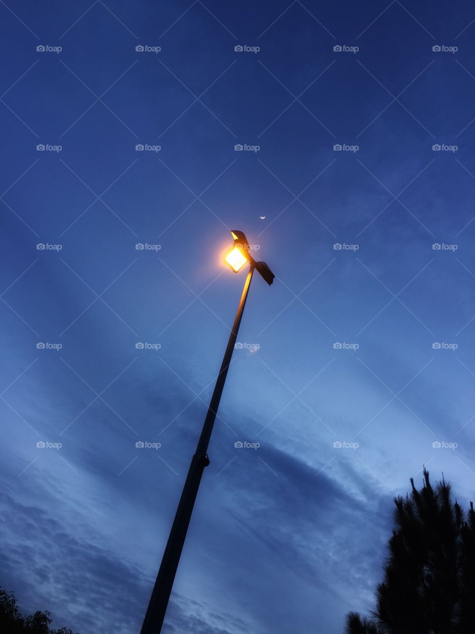 A tiny moon over a street lamp post.